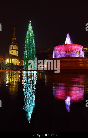 London, UK. 5. Dezember 2016. Trafalgar Square-Weihnachtsbaum, Brunnen und Reflexion, Trafalgar Square, London Credit: Paul Brown/Alamy Live News Stockfoto