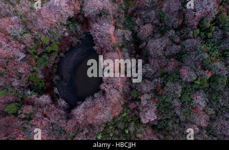 Hanzhong, China. 3. Dezember 2016. Foto am 3. Dezember 2016 zeigt die Tianxuan riesige Karst Doline in Zhenba, County Hanzhong Stadt, Nordwesten der chinesischen Provinz Shaanxi. Ein Cluster von riesigen Karst Dolinen, auch bekannt als Tiankengs, insgesamt Shaanxi.In entdeckt worden, 49 Tiankengs und über 50 Trichter von zwischen 50 bis 100 Meter im Durchmesser fanden sich in den über 200 km Karst Landform Gürtel in Hanzhong City. © Tao Ming/Xinhua/Alamy Live-Nachrichten Stockfoto