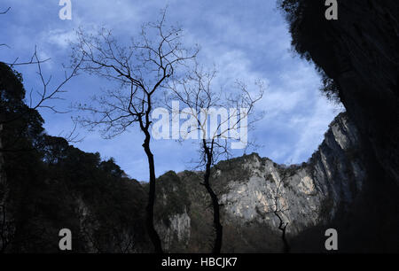 Hanzhong, China. 3. Dezember 2016. Foto aufgenommen am 3. Dezember 2016 zeigt Bäume wachsen von einem riesigen Karst Doline in Zhenba, County Hanzhong Stadt, Nordwesten der chinesischen Provinz Shaanxi. Ein Cluster von riesigen Karst Dolinen, auch bekannt als Tiankengs, insgesamt Shaanxi.In entdeckt worden, 49 Tiankengs und über 50 Trichter von zwischen 50 bis 100 Meter im Durchmesser fanden sich in den über 200 km Karst Landform Gürtel in Hanzhong City. © Tao Ming/Xinhua/Alamy Live-Nachrichten Stockfoto