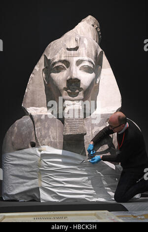 Karlsruhe, Deutschland. 6. Dezember 2016. Oliver Morr, Leiter der Restaurationen im Badischen Landesmuseum, arbeitet auf eine 3 Meter hohe Büste von Ramses II. 6. Dezember 2016 aus Gips im Karlsruher Schloss in Deutschland gefertigt. Die Büste, machte in London im Jahre 1873, erscheint sie als Teil des Museums "Ramses: göttliche Herrscher auf dem Nil" Ausstellung öffnet sich auf der 17.12.2016 und zieht sich durch die 18.06.2017. Foto: Uli Deck/Dpa/Alamy Live News Stockfoto