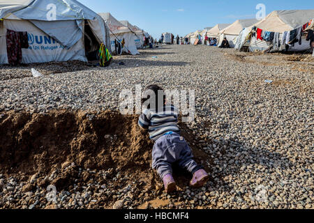 Hasansham, Provinz Ninewa, Irak. 3. Dezember 2016. Neu vertriebenen Bewohner des Flüchtlingslagers in Hasansham. Etwa 11.000 Menschen leben jetzt hier nach seiner Flucht aus schweren Kämpfen im Osten Mosul. © Gabriel Romero/ZUMA Draht/Alamy Live-Nachrichten Stockfoto