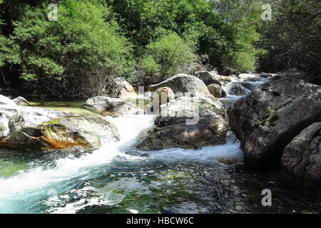 Sant Nicolau Fluss im Aiguestortes Nationalpark in den katalanischen Pyrenäen, Spanien Stockfoto