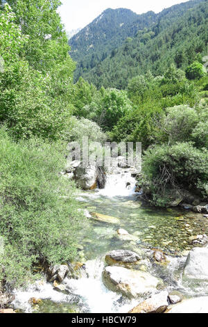 Sant Nicolau Fluss im Aiguestortes Nationalpark in den katalanischen Pyrenäen, Spanien Stockfoto