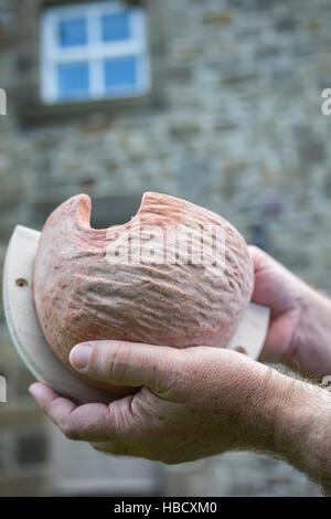 Künstliche Mehlschwalbe (Delichon Urbica) Nest, UK Stockfoto