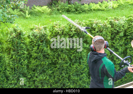 Hecke schneiden Benzin Heckenschere. Stockfoto