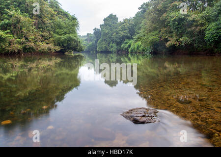 Ruhige Gewässer und dichten Wäldern, Thannithodu, Pathanamthitta, Kerala, Indien Stockfoto