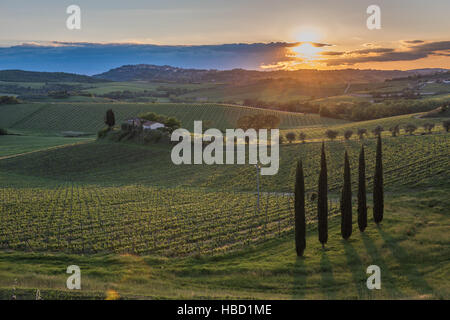 Sonnenuntergang über die Hügel der Toskana, Italien Stockfoto