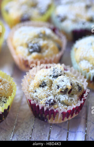 Nahaufnahme von Blaubeer-Muffins in Pappbecher mit Puderzucker Stockfoto