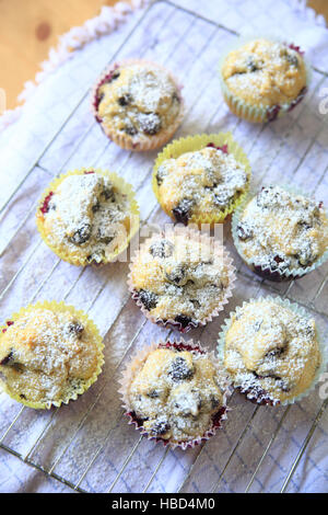 Blaubeer-Muffins, frisch aus dem Ofen, mit Puderzucker bestreut Stockfoto