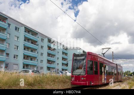 Dessau: Straßenbahn zur Kreuzberg-Straße Stockfoto