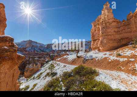 Schneebedeckte Pfad am Bryce-Canyon-Nationalpark im Süden von Utah. Stockfoto