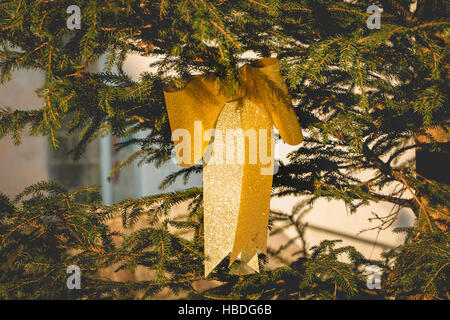 Goldene Knoten hängen auf einem Weihnachtsbaum - Nahaufnahme Stockfoto