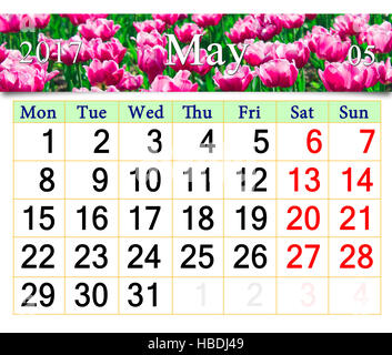 Kalender für Mai 2017 auf dem Hintergrund von roten Tulpen im Garten Stockfoto