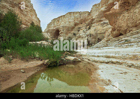 Ein Avdat Nationalpark in der Wüste Negev Stockfoto