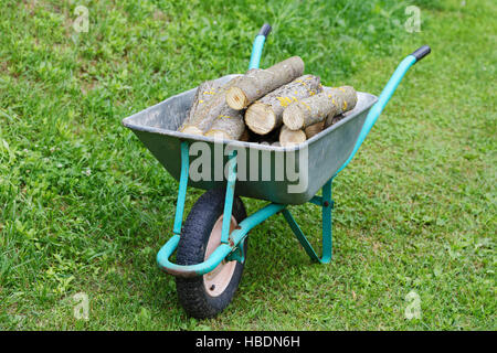 Sackkarre mit Brennholz auf dem grünen Rasen Stockfoto