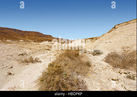 Wüste in Israel Stockfoto