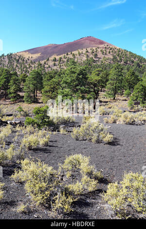 Neigung der Schlackenkegel Sunset Crater Volcano National Monument nördlich von Flagstaff, Arizona vertikal Stockfoto