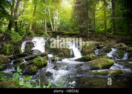 Wasserfall im Harz Selke Wasserfall Stockfoto