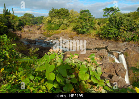 Wailuku River, Waianuenue Falls, Rainbow Falls, Wailuku River State Park, Hilo, Big Island von Hawaii Stockfoto