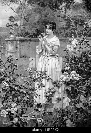 Elegante junge Dame steht im Garten, Sommer, blüht die Rosen, Illustration, Holzschnitt aus dem Jahr 1880 Stockfoto