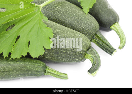 Vier große Zucchini Stockfoto