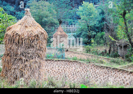 Die geernteten Reisfelder des Dorfes Matang Gejia Dong in der chinesischen Provinz Guizhou sind malerisch. Stockfoto