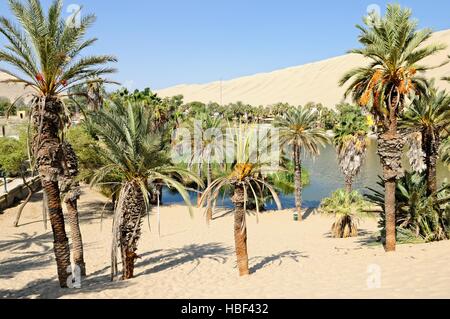 an der Lagune Oase Huacachina Peru Stockfoto