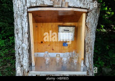 Baumstamm mit Trinkgläser Stockfoto