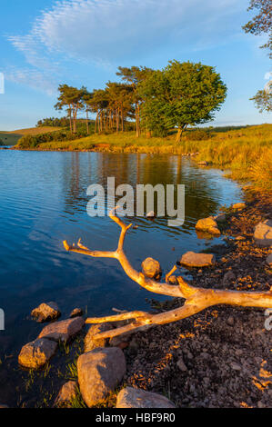 Die Knapps Loch Kilmacolm Schottland. Stockfoto