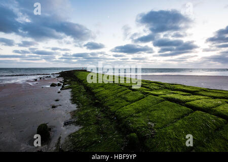 West Beach, Insel Norderney, Deutschland Stockfoto