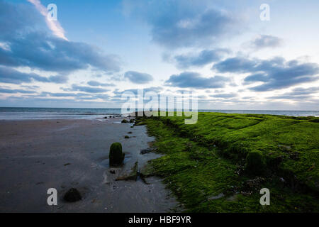 West Beach, Insel Norderney, Deutschland Stockfoto