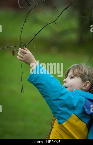 junge Mädchen, die Annäherung an ein Catkin auf eine Birkenbaum berühren Stockfoto