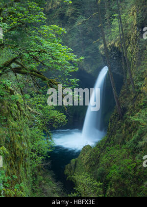 Ein Telelphoto Bild der Metlako fällt in der Columbia-Schlucht-Oregon Stockfoto