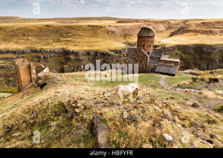 Blick auf Saint Gregory von Tigran Honents in Ani. ANI ist ein zerstörten mittelalterlichen armenischen Stadt in Kars, Türkei. Stockfoto