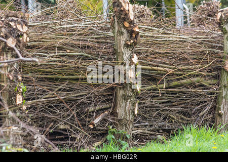 Screening-Zaun aus materiellen wicker Stockfoto