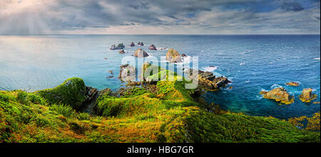 Bewachsenen Landzunge, Nugget Point, sonnigen Felsen ragen aus der Tasmanischen See, Kaka Point, The Catlins, Südinsel, Neuseeland Stockfoto