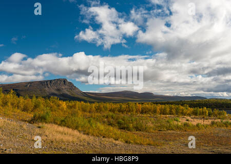 Herbst im Nationalpark Stora Sjöfallet, Laponia, Norrbotten, Lappland, Schweden Stockfoto