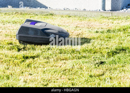 Automatische Rasenmäher mäht den Rasen Stockfoto