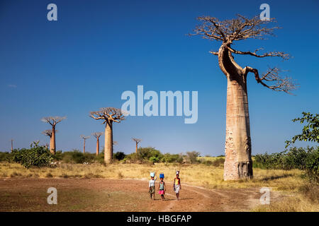 Madagassischen Frauen Wassertragen Stockfoto
