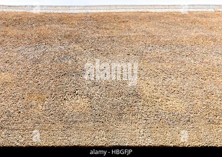 thatched Dach Dach Natur Stockfoto