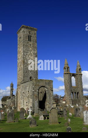 Ruine der St. Andrews Cathedral, Schottland Stockfoto