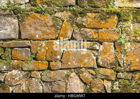 Steinmauer mit Moos und Flechten Stockfoto