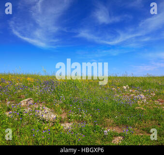 Die Golan-Höhen Stockfoto