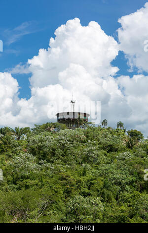 Modernes Haus auf hohe Betonkonstruktion im Wald, Bolivien Stockfoto