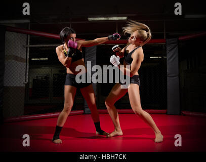 Zwei Wrestler-Frauen in der Sporthalle Stockfoto