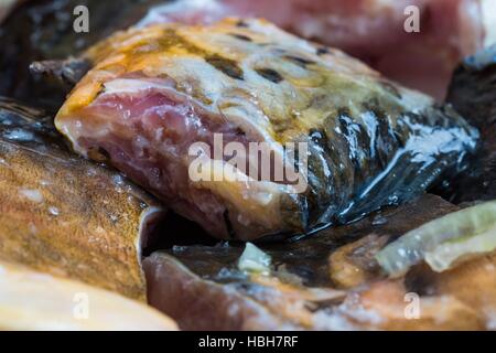 Stücke von Karpfen Fisch in Marinade mit Öl Stockfoto