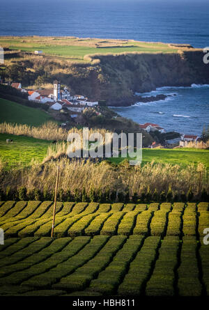 Kleine Siedlung entlang der Azoren Stockfoto