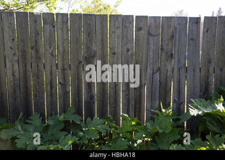 alten Holzzaun Sommertag Stockfoto