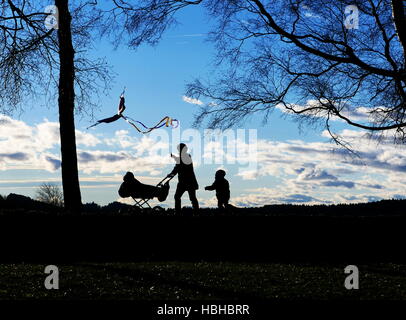 Junge Frau mit Kinderwagen im Park spazieren Stockfoto