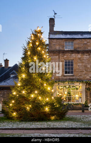 Weihnachtsbaum in der Broadway und Kräutertees Kaffee Zimmer, Cotswolds, Worcestershire, England Stockfoto